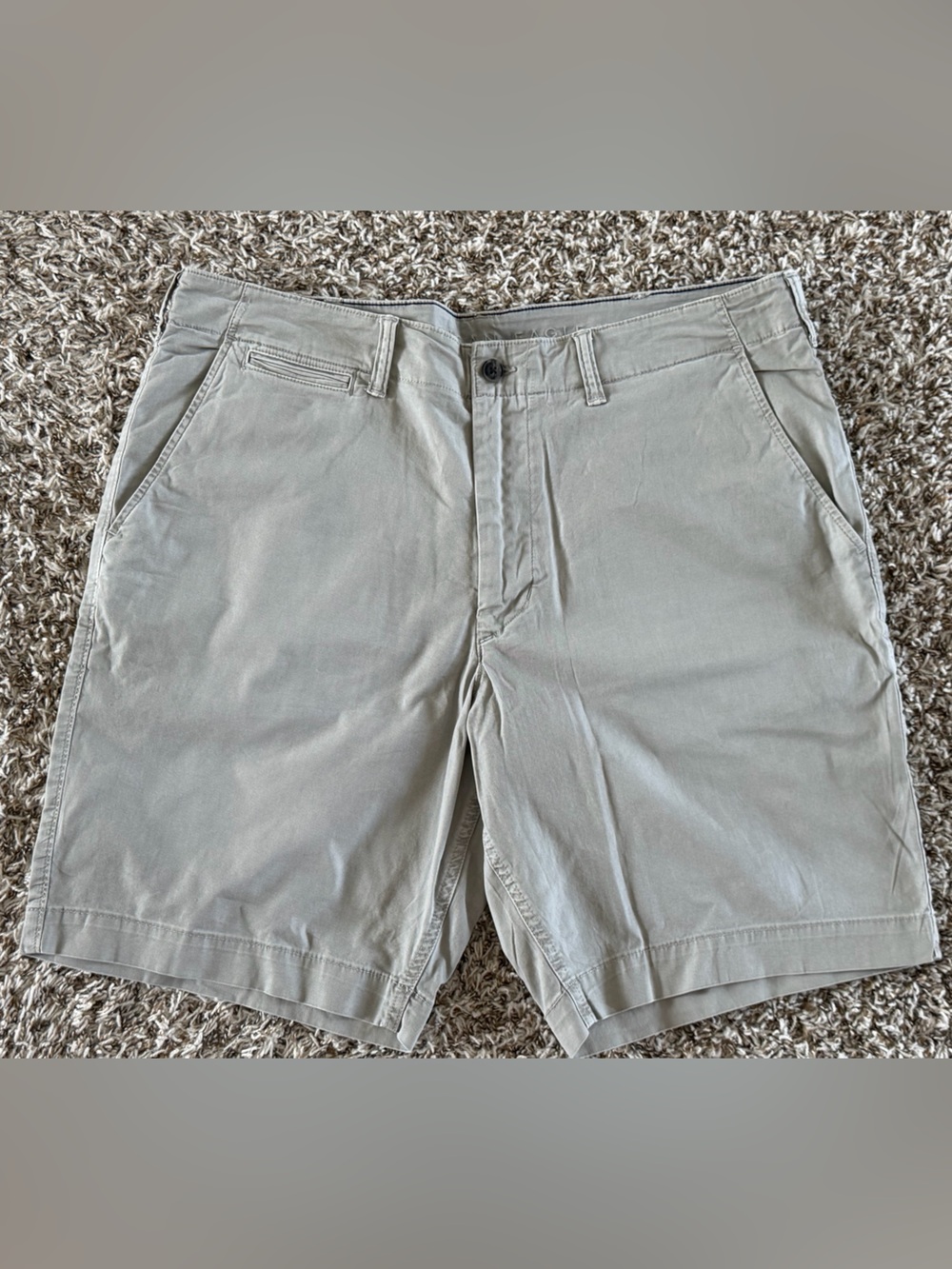 American Eagle Outfitters Men's Flat Front Shorts in Light Taupe